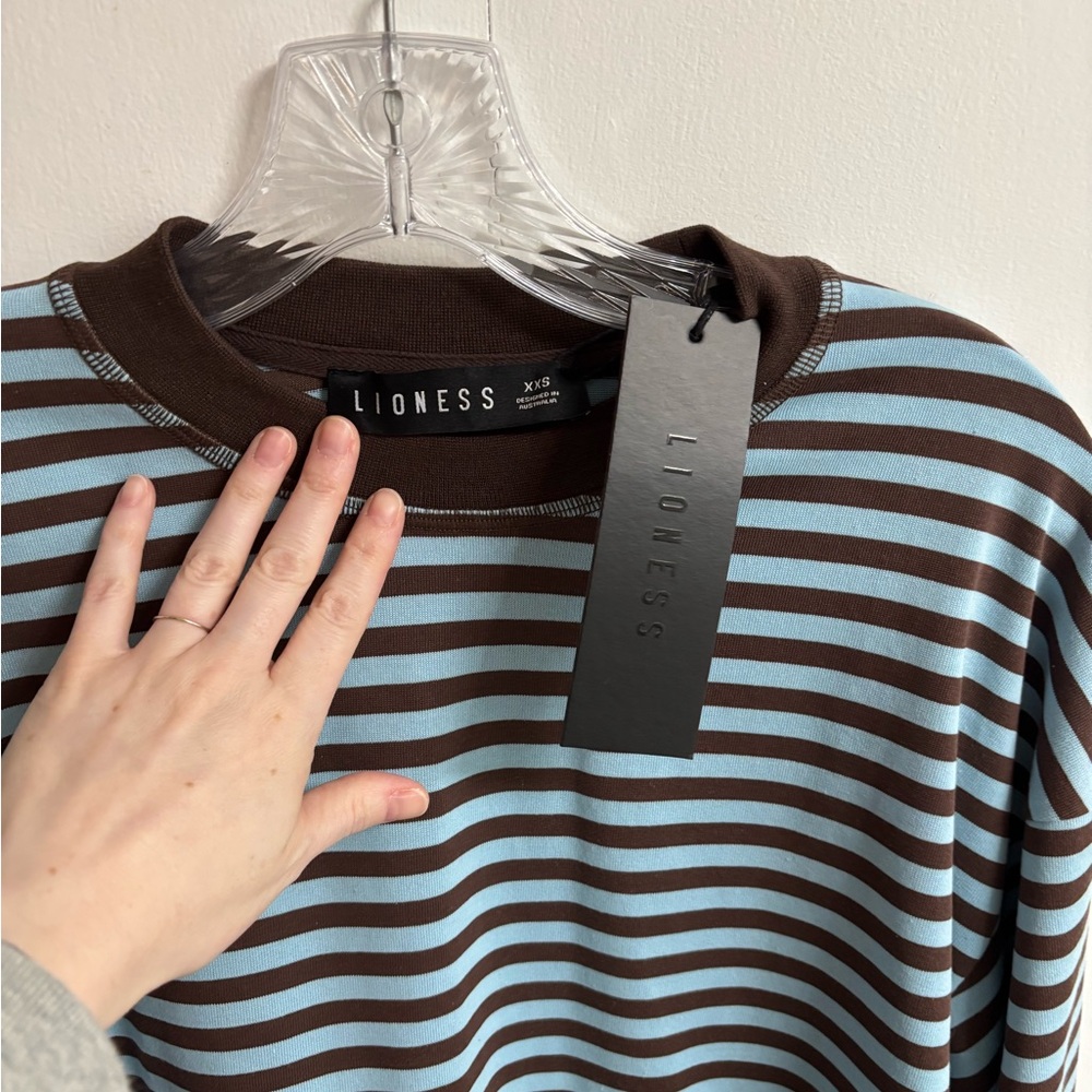 Lioness Bloom Brown and Blue Striped Top